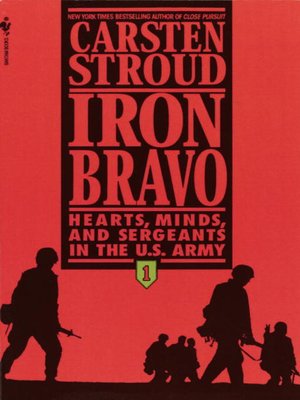 cover image of Iron Bravo